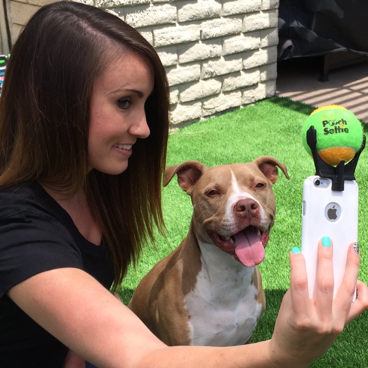accesorio perro selfies 1
