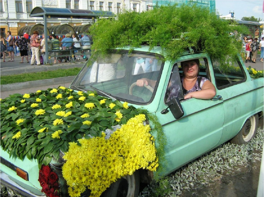 coche ecologico
