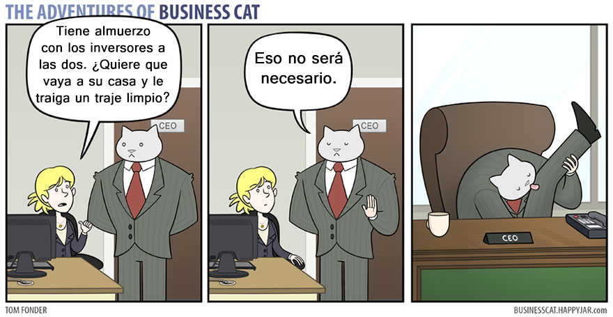 gato ejecutivo 10