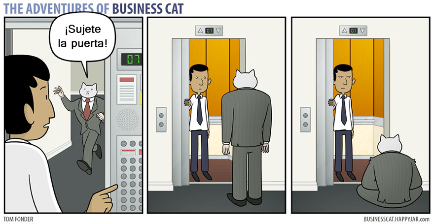 gato ejecutivo 11