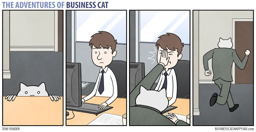 gato ejecutivo 12