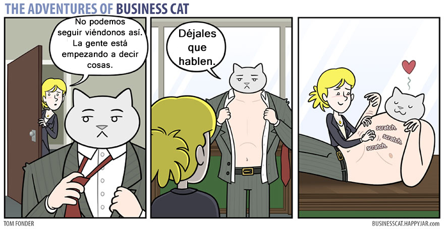 gato ejecutivo 13
