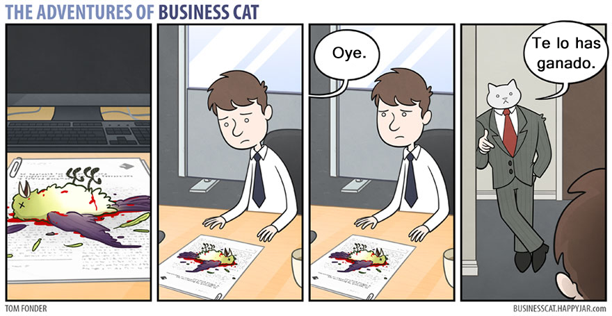 gato ejecutivo 3