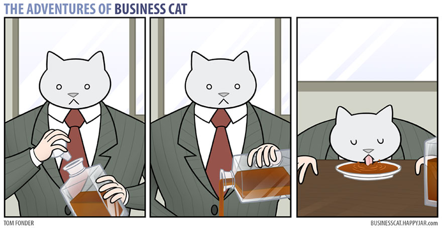 gato ejecutivo 4