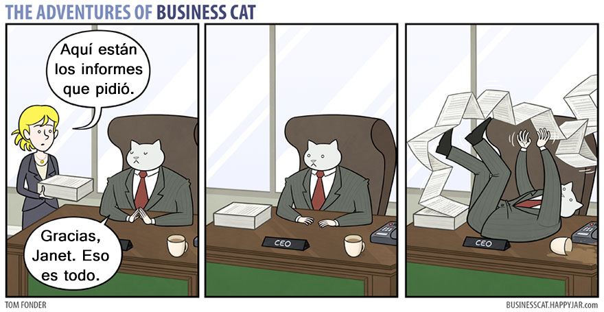 gato ejecutivo 5