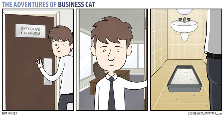 gato ejecutivo 6