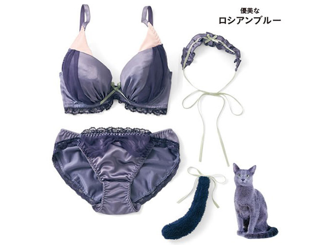 lenceria para gatitas 4