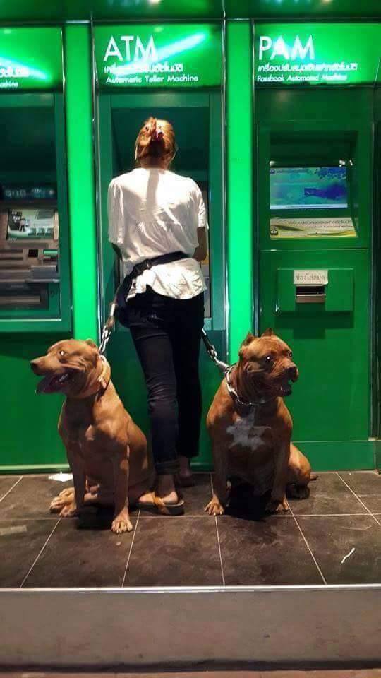 sacar dinero con seguridad