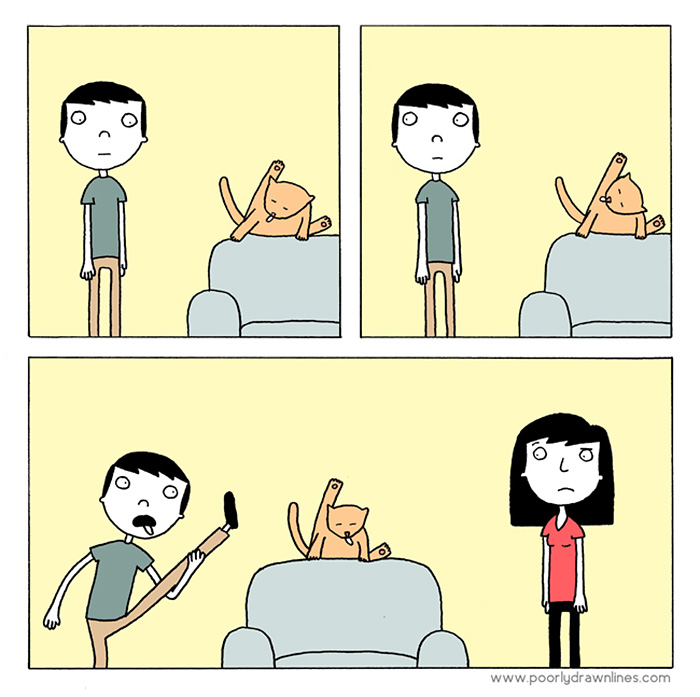 animales problemas humanos 10