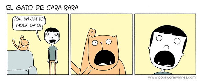 animales problemas humanos 11