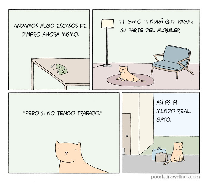 animales problemas humanos 12