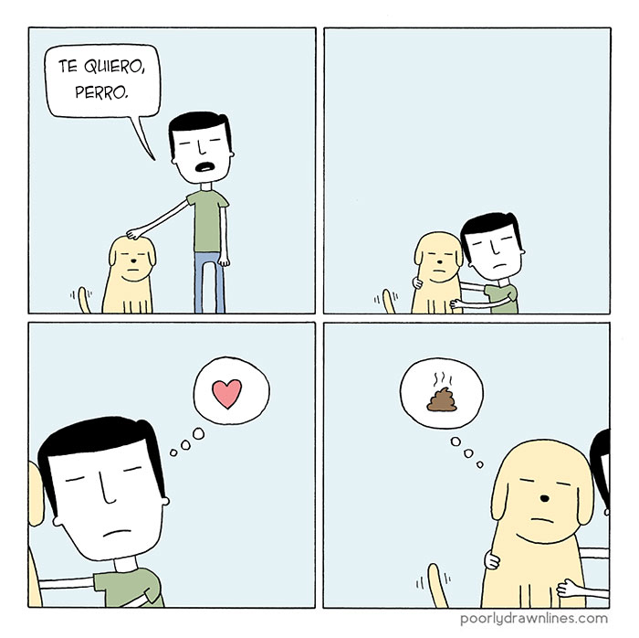 animales problemas humanos 2
