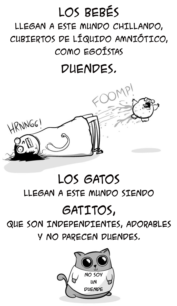 bebes gatos 2