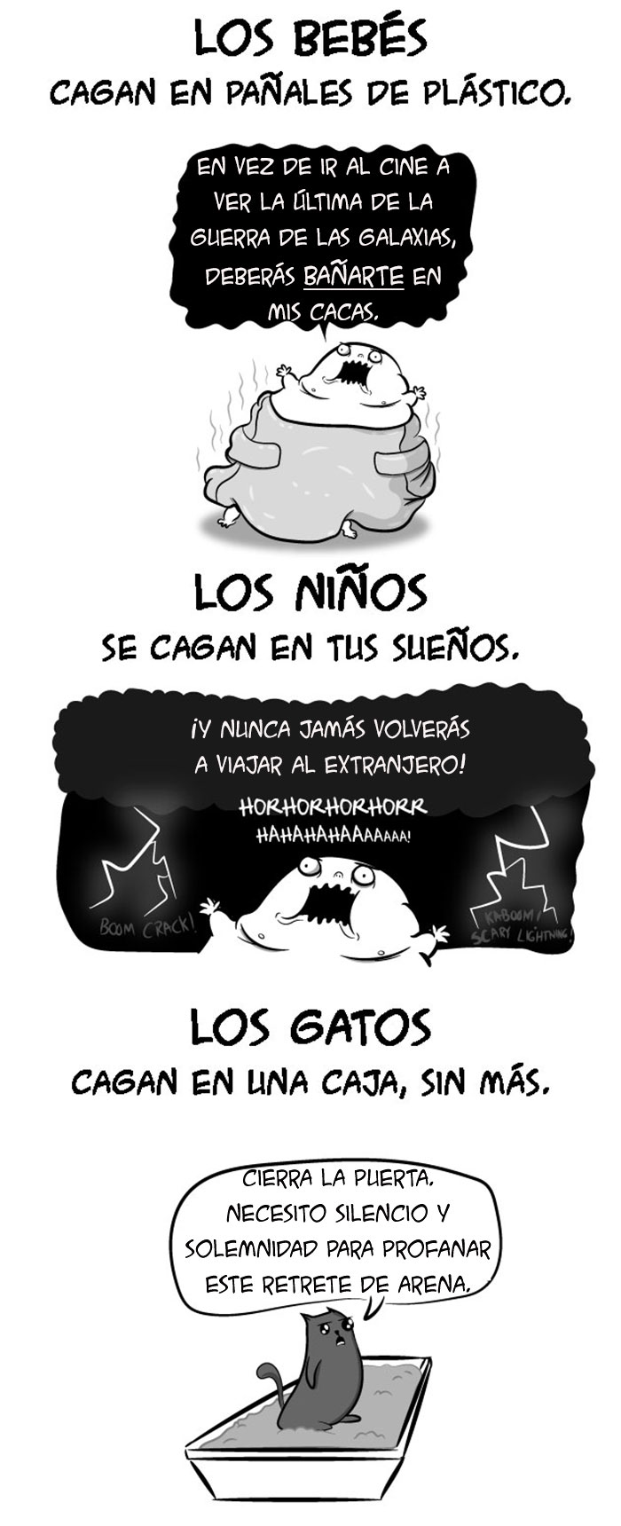 bebes gatos 3
