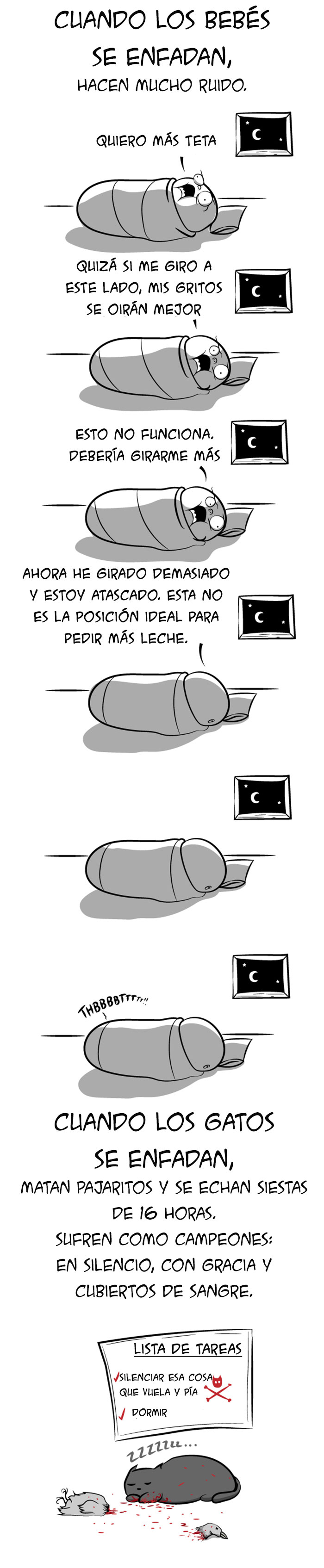 bebes gatos 4