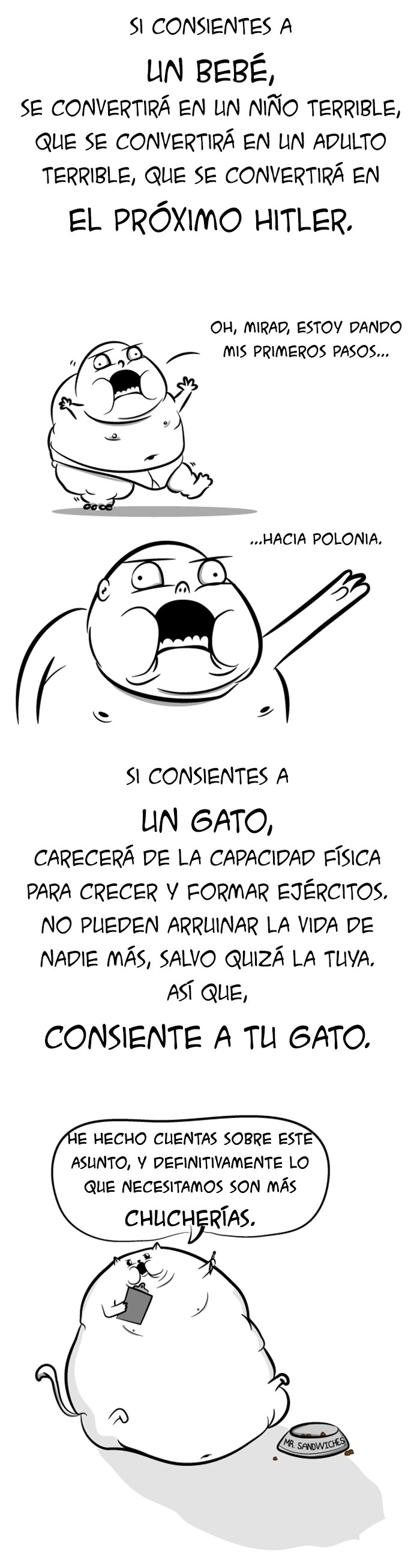 bebes gatos 5