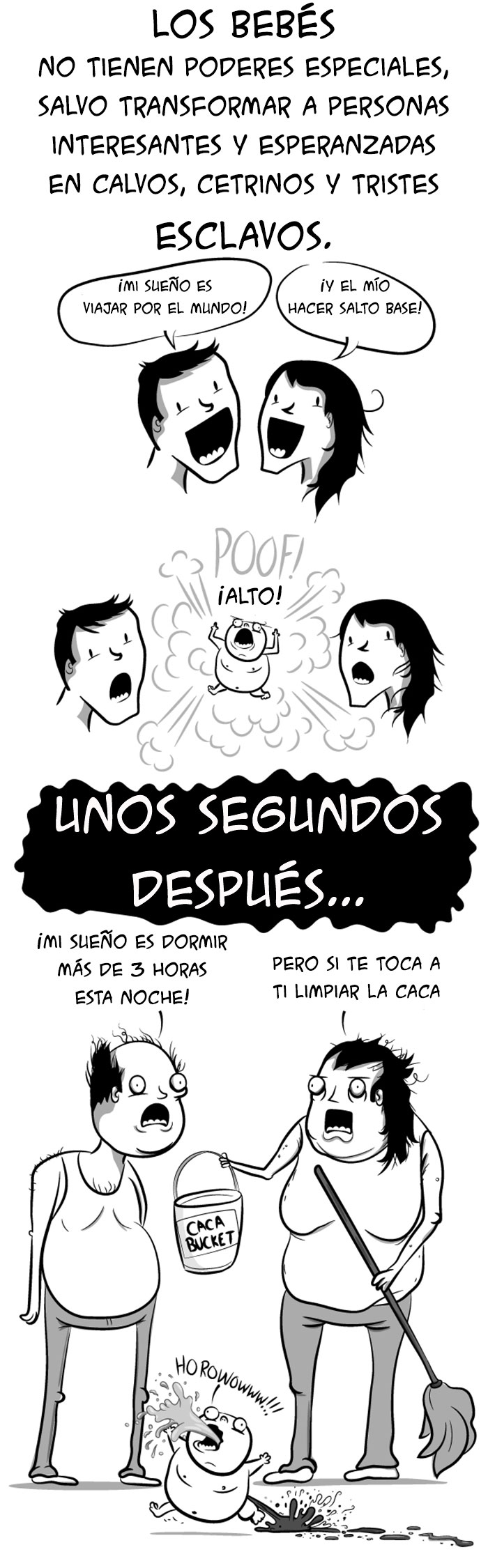 bebes gatos 7