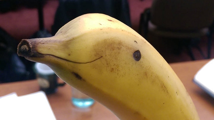 platano con cara de delfin
