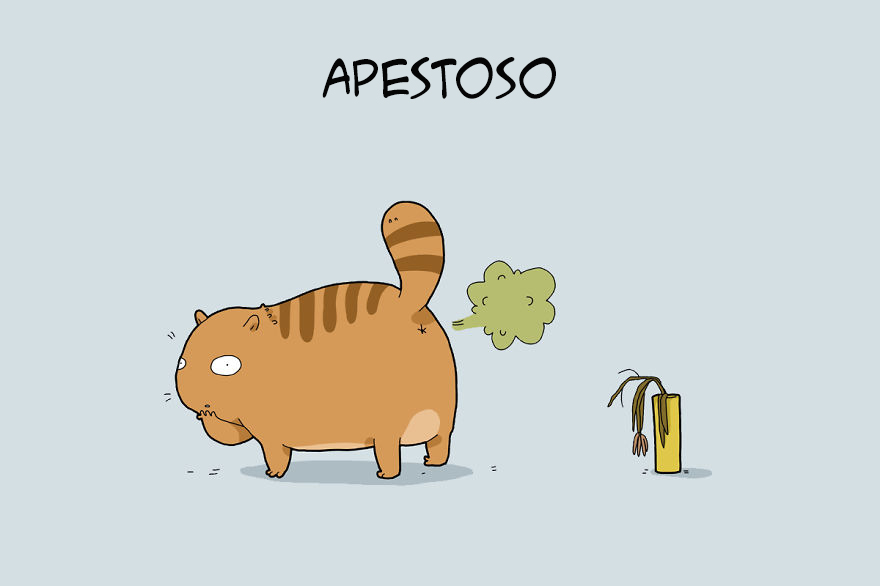 tipos de gatos 11