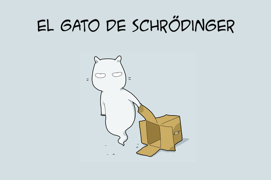 tipos de gatos 12