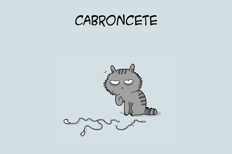 tipos de gatos 3