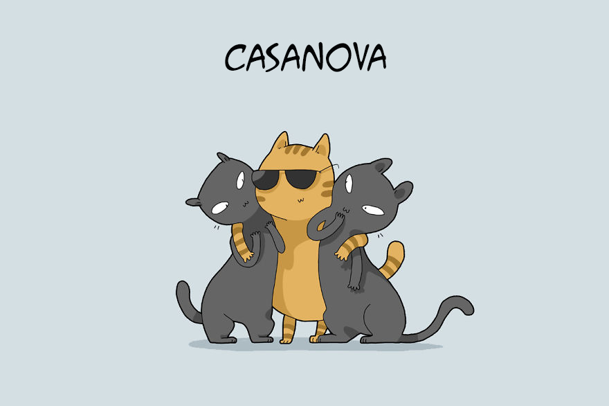 tipos de gatos 6