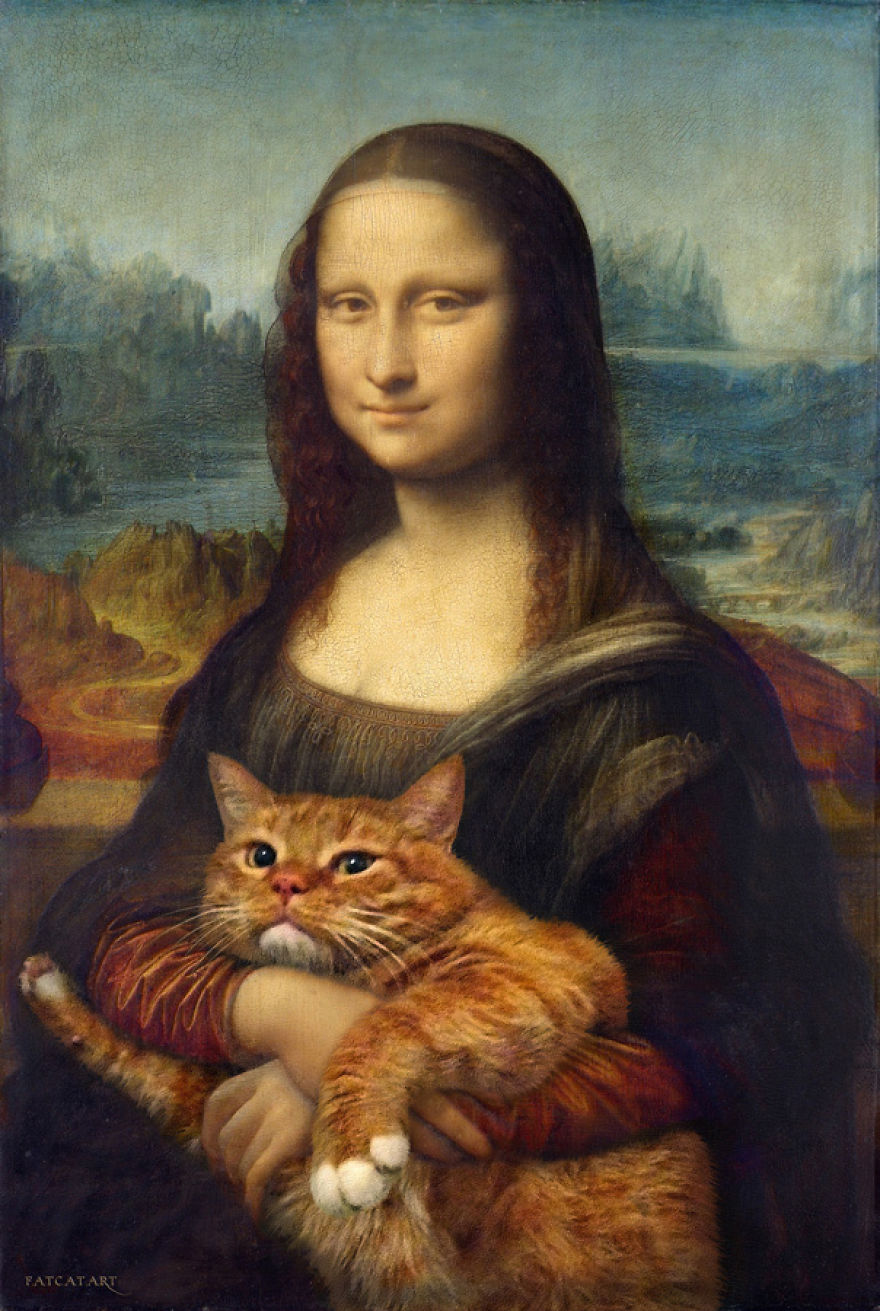 gatos humor 1