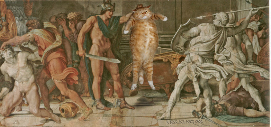 gatos humor 10