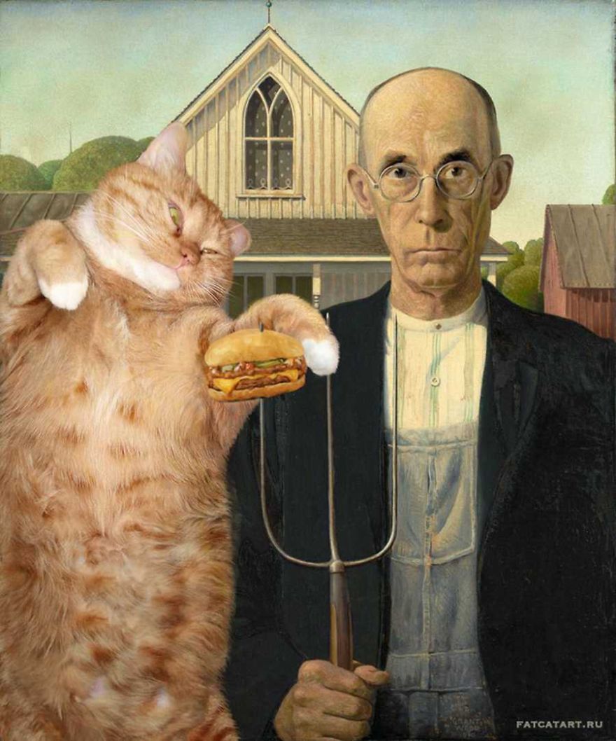 gatos humor 4