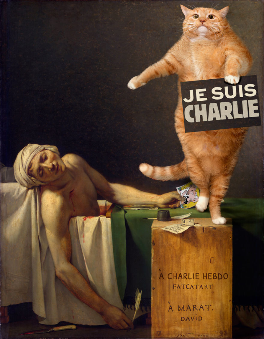 gatos humor 6