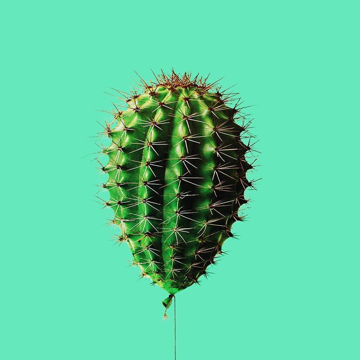 arte surrealista y divertido 8