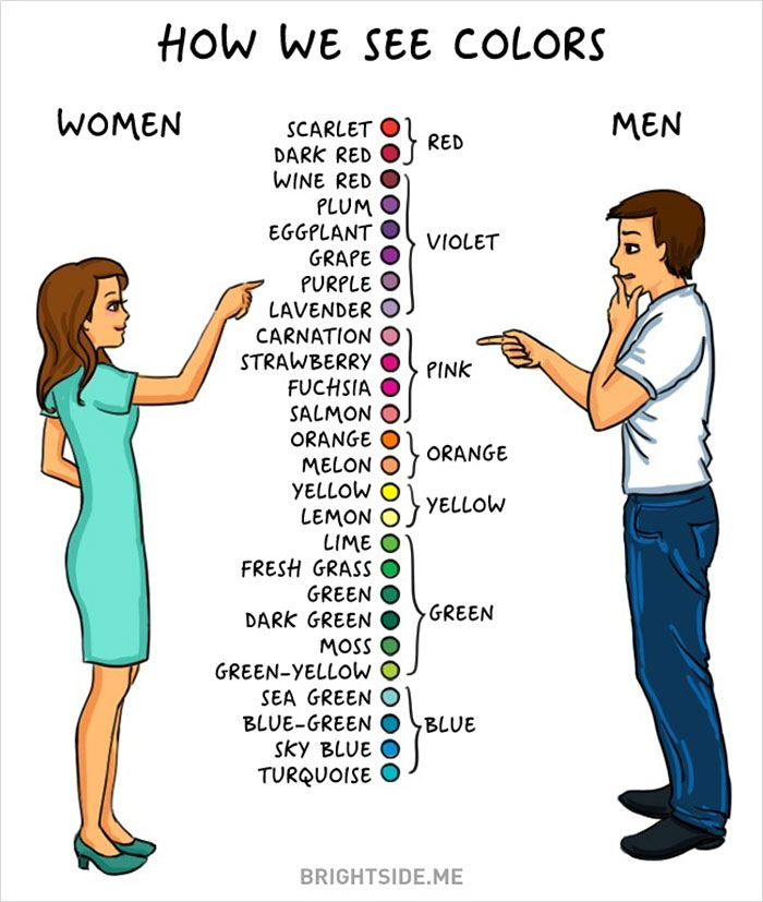 diferencias hombre y mujer 1