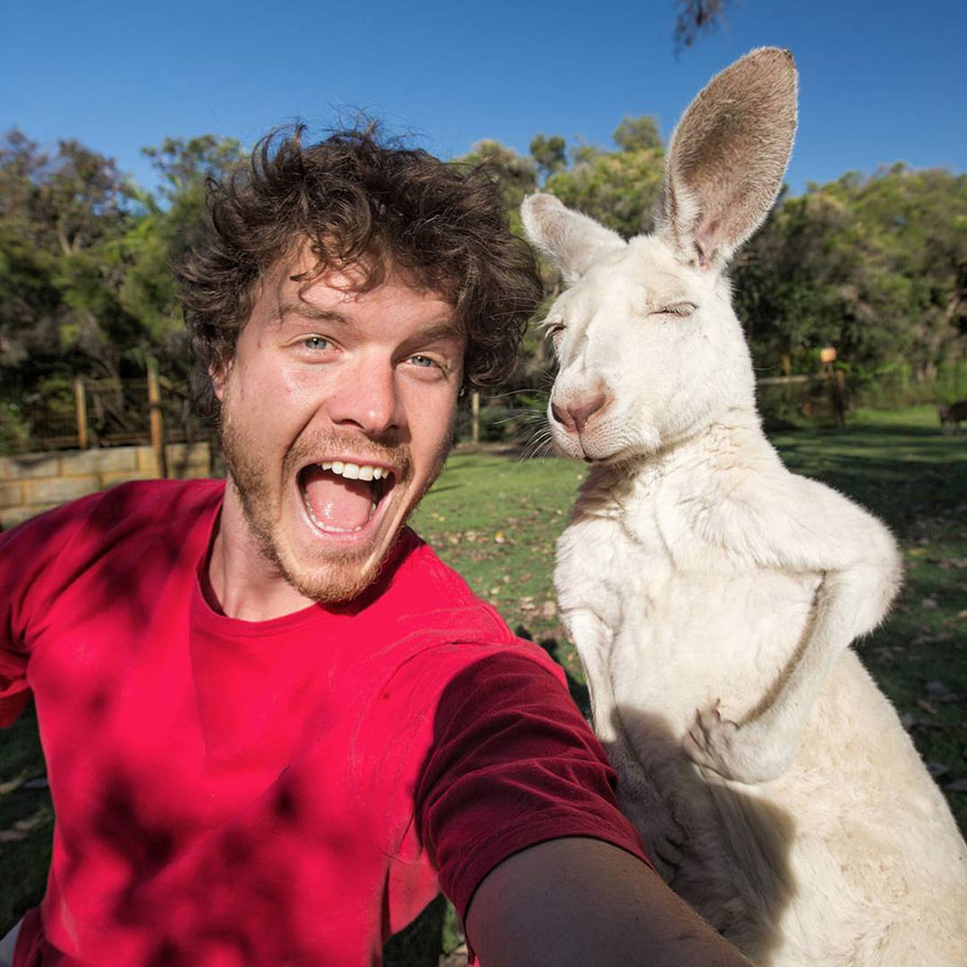 selfies con animales 2