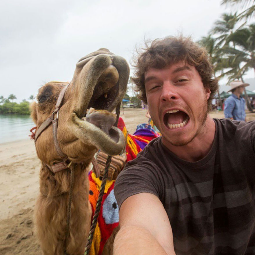 selfies con animales 3
