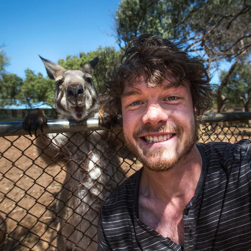 selfies con animales 4