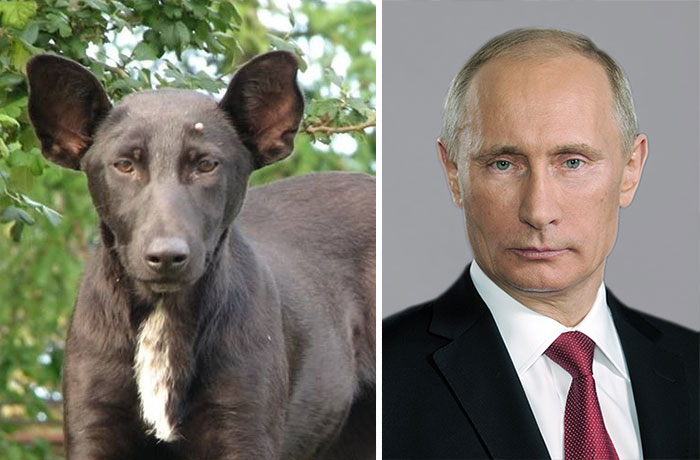 el doble de Putin