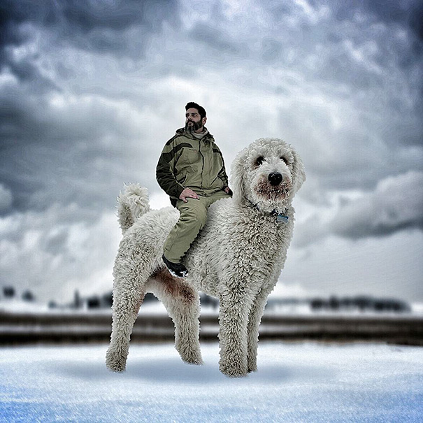 photoshop perro gigante 6