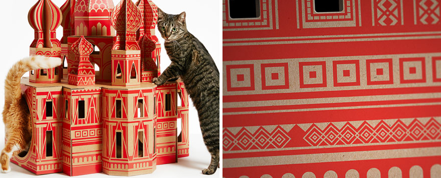 casas de carton gatos monumentos 4