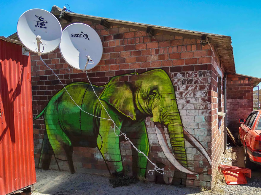 esperanzadores grafitis de elefantes 9