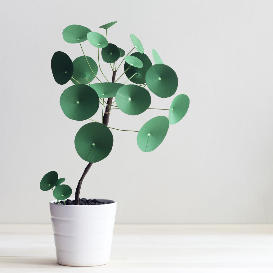 plantas de papel 1
