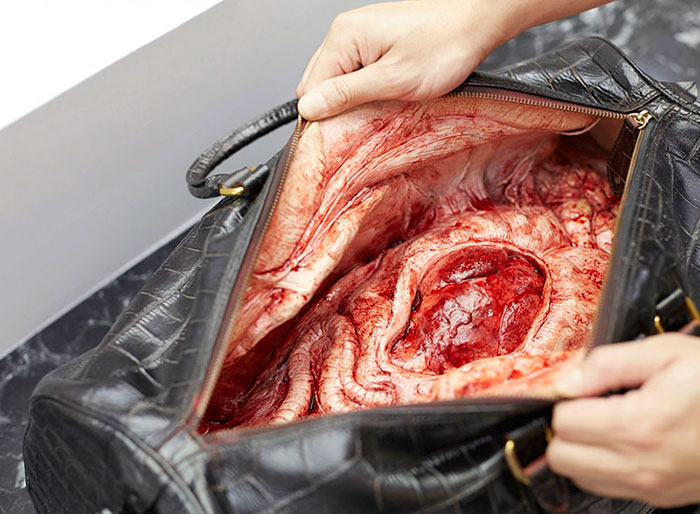 campana PETA Ogilvy 2