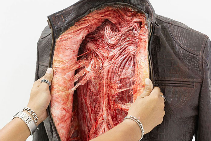 campana PETA Ogilvy 3