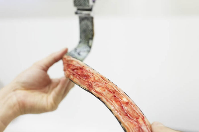 campana PETA Ogilvy 5
