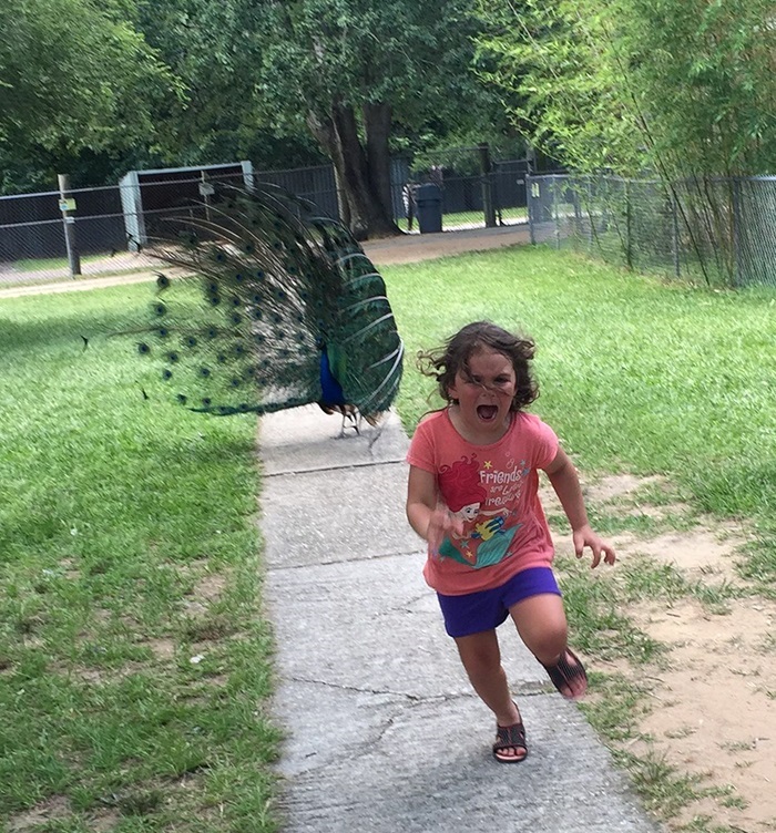 nina corriendo