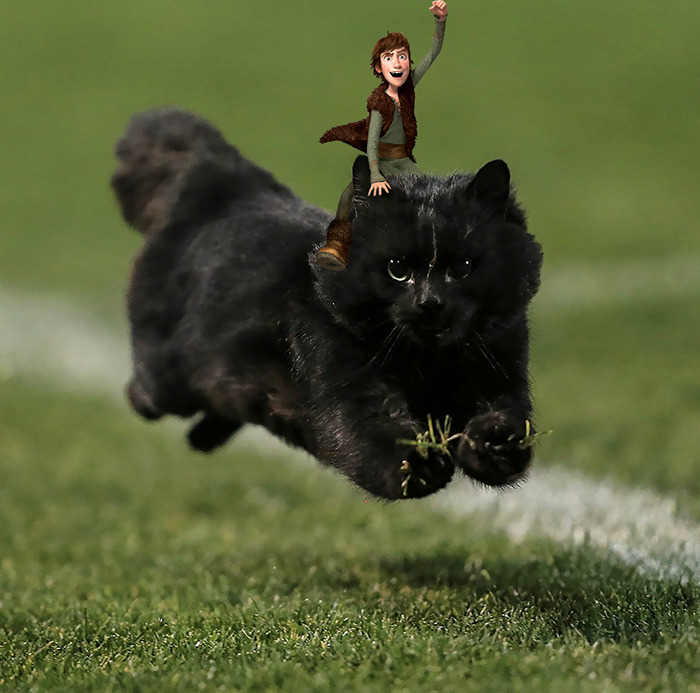 Photoshop gato partido rugby 4
