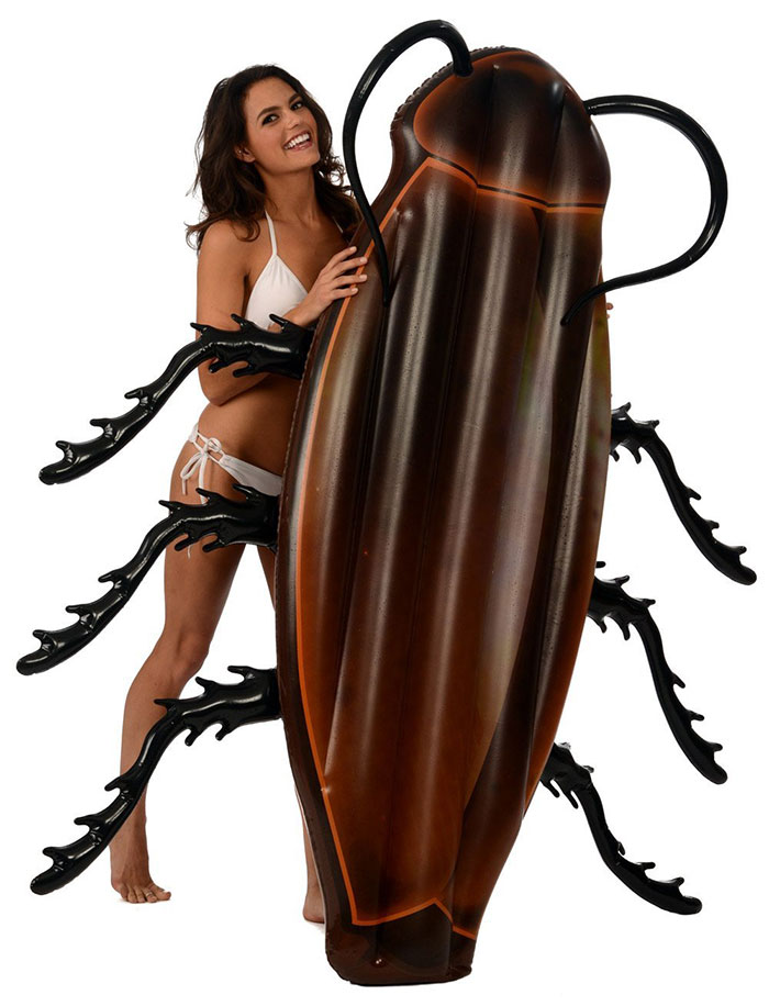 Gigantic Cockroach Raft 2