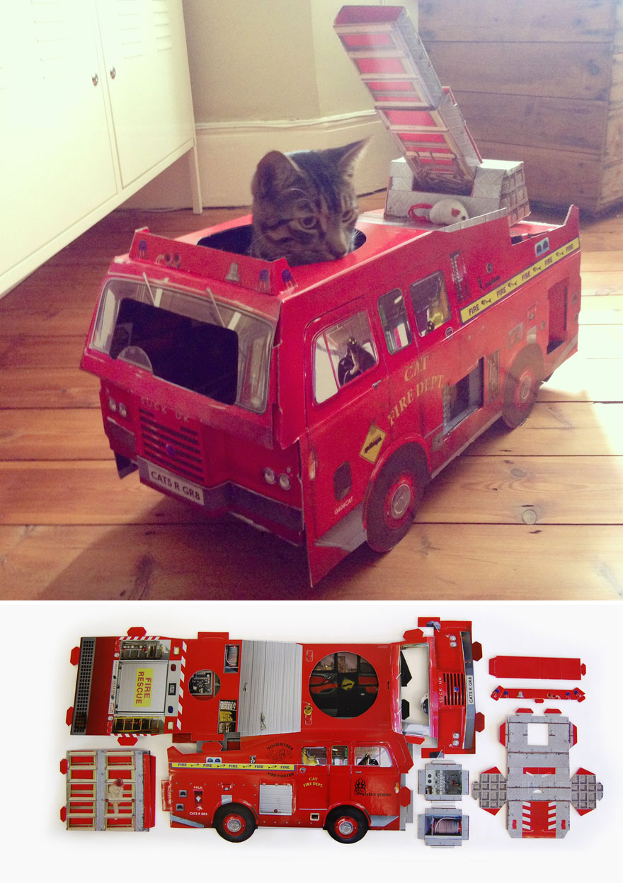 camion-bomberos-gatos