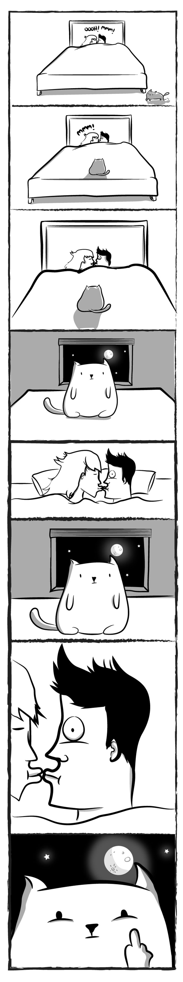 gato