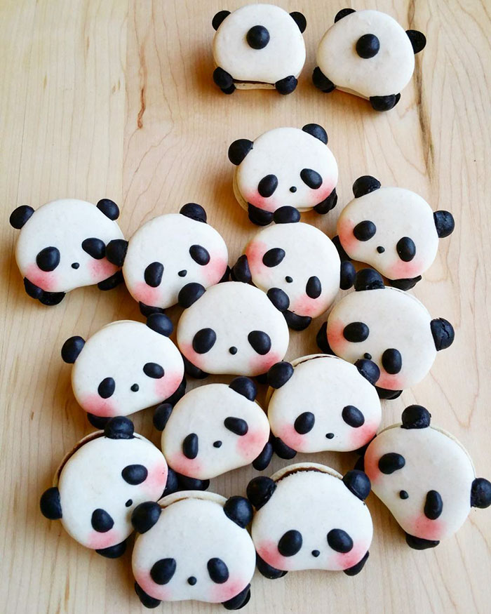 macarons-panda