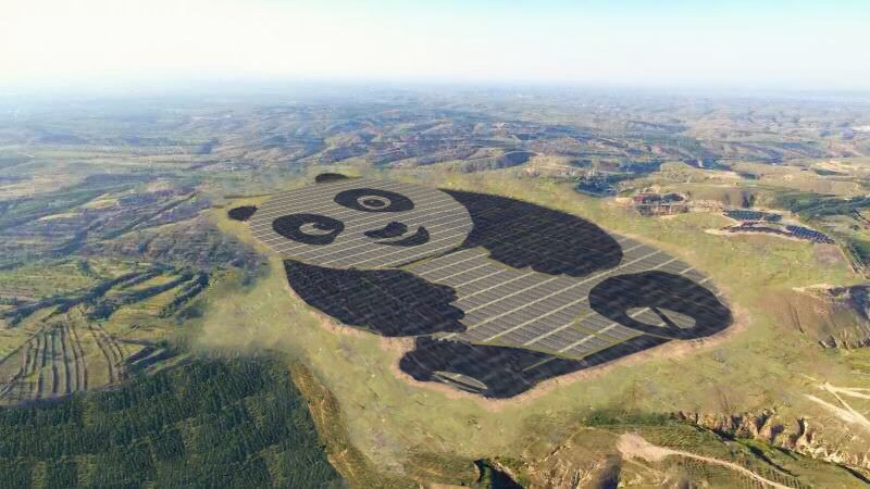 oso-panda-shanxi